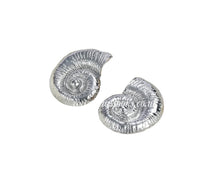 Load image into Gallery viewer, Large Shell Earrings (CLEARANCE)